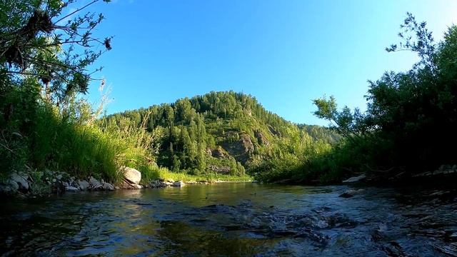 Сорока стрекочет шум ручья теплое утро смотреть онлайн