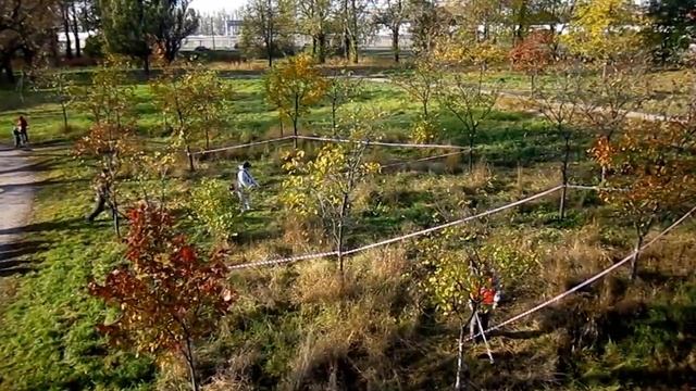 Субботник в парке Авиаторов смотреть онлайн