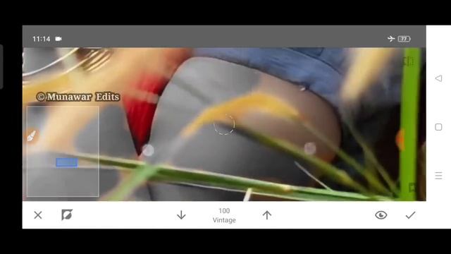 Snapseed Green And Bird Effect Photo Editing Tutorial | Snapseed Background Colour Change Tricks смотреть онлайн