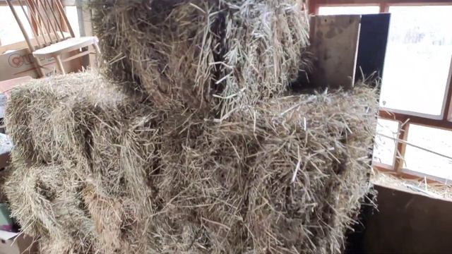 Маленький баранчик, Катумские овцы,телочка-красотка. смотреть онлайн