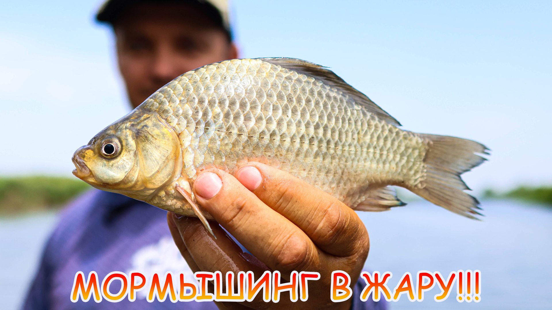Карась, окунь, подлещик на мормышинг в жару! Мой путь в МОРМО! смотреть онлайн