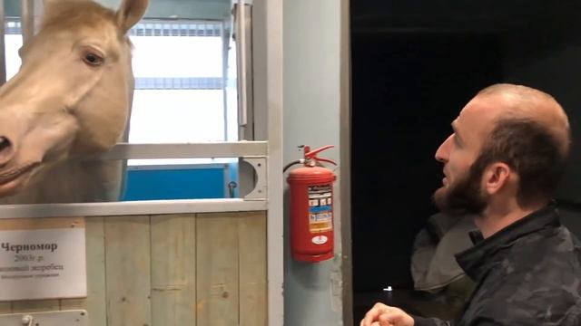 Как Омар в цирк ходил // Омар в большом городе