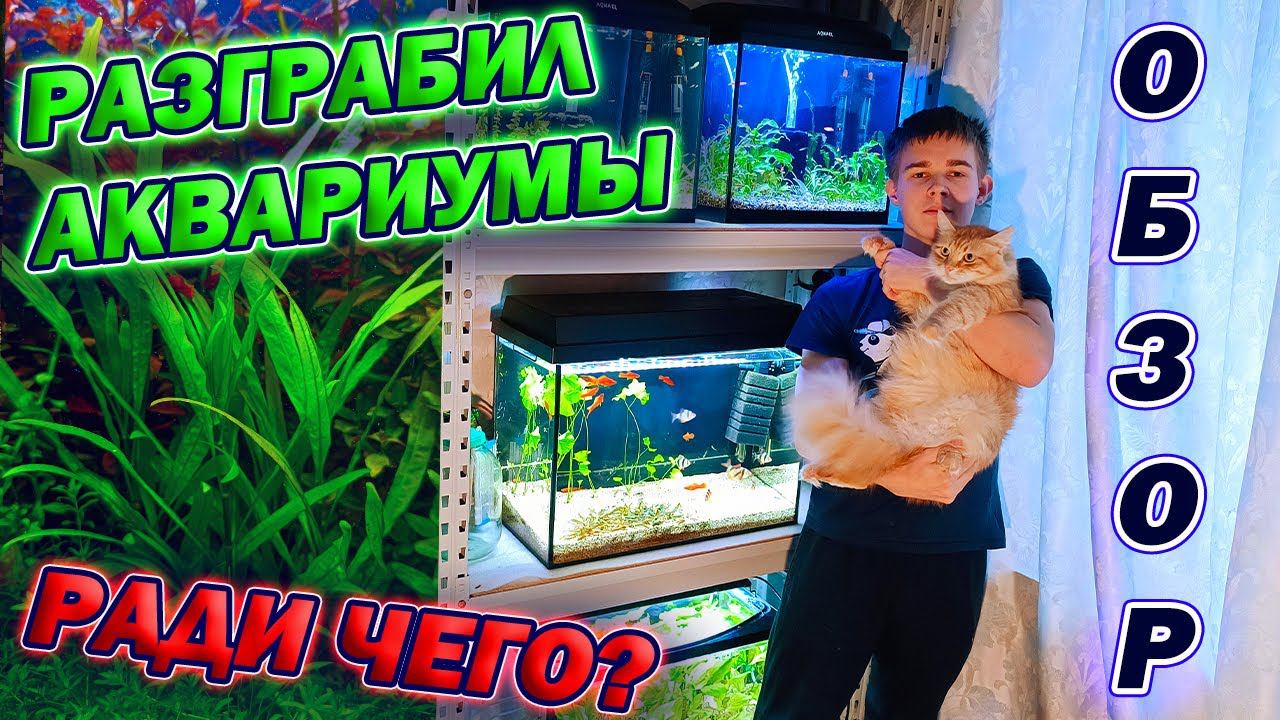 Разграбил аквариумы и ВСЁ РАДИ ЭТОГО! смотреть онлайн