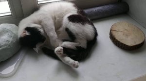 Как готовить керамику к нанесению глазури. Как делать керамику самому