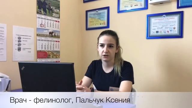 Как правильно стричь когти котам и кошкам смотреть онлайн