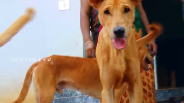 #ഇവർ കൂടെ ഉണ്ടെങ്കിൽഏത് രാത്രിയിലും ഈ ചേച്ചി സഞ്ചരിക്കും ആരെയും പേടിക്കാതെ