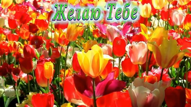 С Днём Рождения Валентина смотреть онлайн