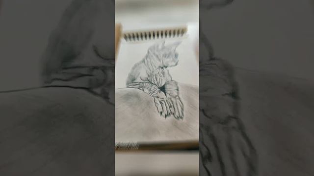 РИСУНОК КАРАНДАШОМ. КАРАНДАШ И ЛАСТИК. смотреть онлайн