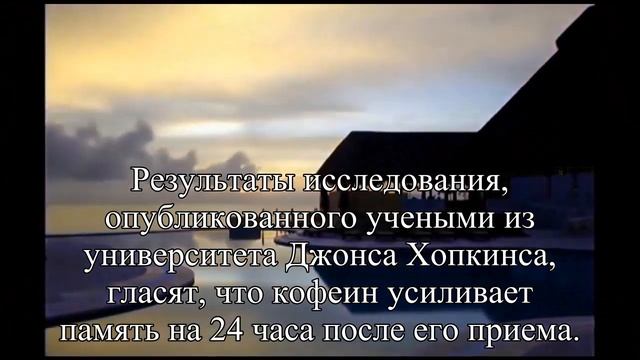 5 причин выпить кофе перед тренировкой — Статья смотреть онлайн