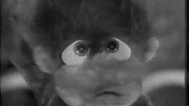 Intervalo VPVN Brega e Chique - 07/12/1989 смотреть онлайн