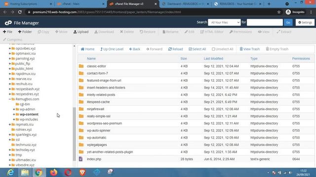 How to deactivate plugins in wordpress with cPanel file manager as a beginner смотреть онлайн
