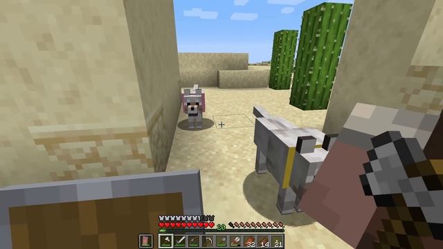 Minecraft 1.14 - COMPOSTER, LECTERN and DESERT VILLAGE - Minecraft 1.14 Snapshot Playthrough - Ep 4 смотреть онлайн