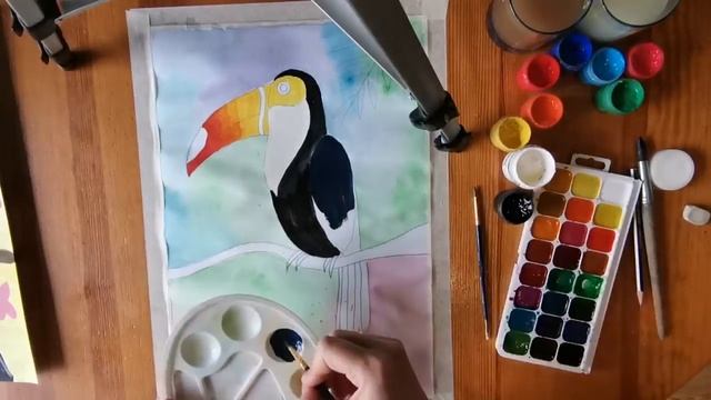 Птицы жарких стран. Тукан смотреть онлайн