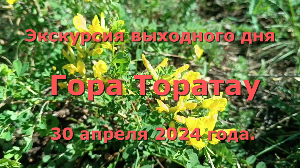 Экскурсия выходного дня. Гора Торатау, Башкортостан. 30 апреля 2024 года. смотреть онлайн