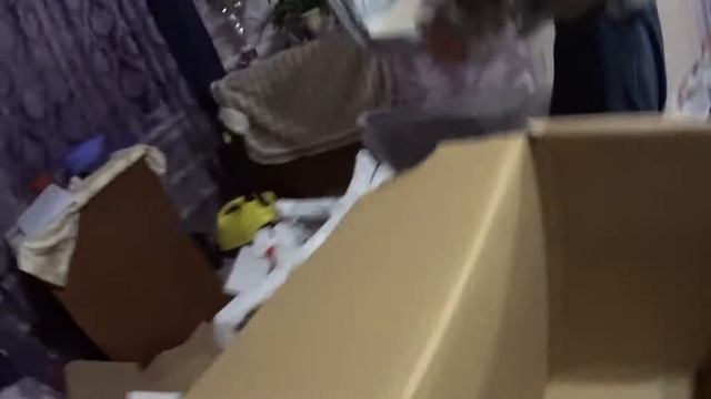 ☄Выгодная покупка!!! Обеденные стулья? с ИМ Озон❗❗❗ смотреть онлайн