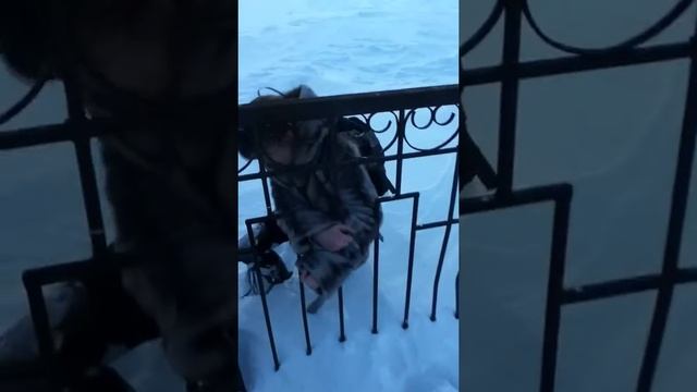 Толщина снега х)) смотреть онлайн