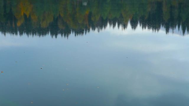 Lake Small Ritsa. Mountains Of Abkhazia