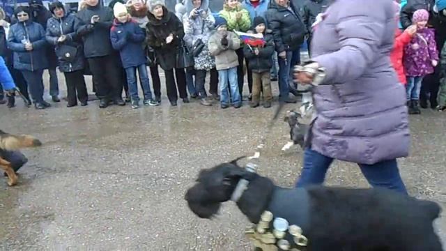 Крымские красавцы и красавицы смотреть онлайн