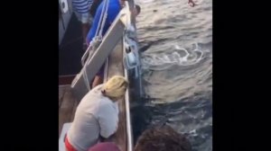 Ловля огромного Тунца 250 килограммового   Тунца  fishing Thunnus