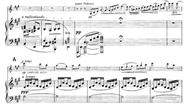 Karol Szymanowski - Violin Sonata in D minor, Op. 9 (1904) [Score-Video] смотреть онлайн
