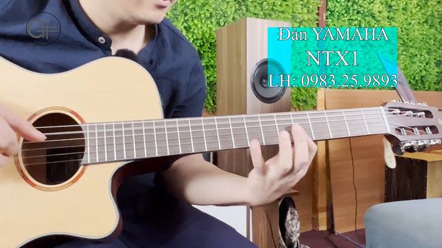 Hát Nữa Đi Em Test đàn Yamaha NTX1 (cần dài, thùng mỏng, dây nylon) & loa Epiphone DC-40 смотреть онлайн