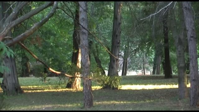 Novi-Knezevac,Torokkanizsa смотреть онлайн