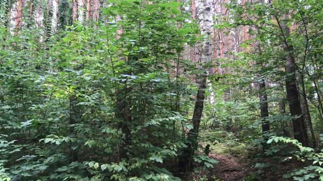 ПОПАЛАСЬ СЛУЧАЙНО, СОСЕДКА ПОДВЕЛА. Поучительные истории из жизни.Интересные любовные аудио рассказ смотреть онлайн