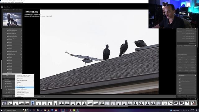 Restore Accidently DELETED LIGHTROOM pictures to your catalog!