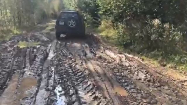 Купили Equnox 800,первый выход. смотреть онлайн