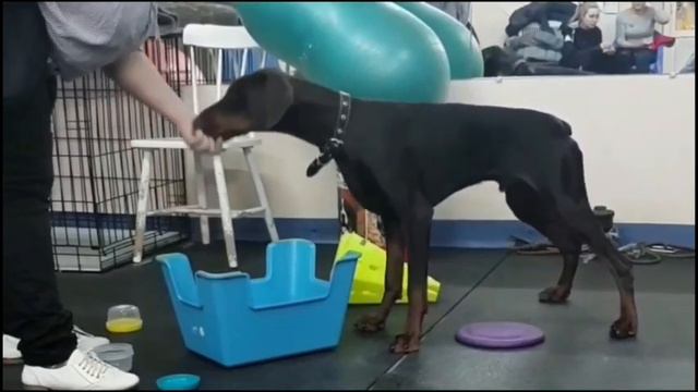 Вебинар 1   Большое 540p