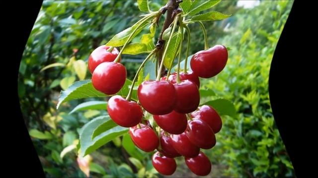 Научные Эксперименты