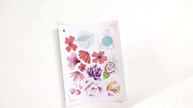 Silhouette vs Cricut: How to Work with Printable Adhesive Vinyl смотреть онлайн