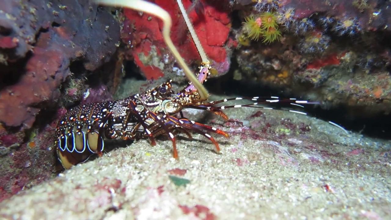 Mergui Archipelago, Myanmar