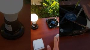 На что хватит солнечной панели мощностью 100 Вт