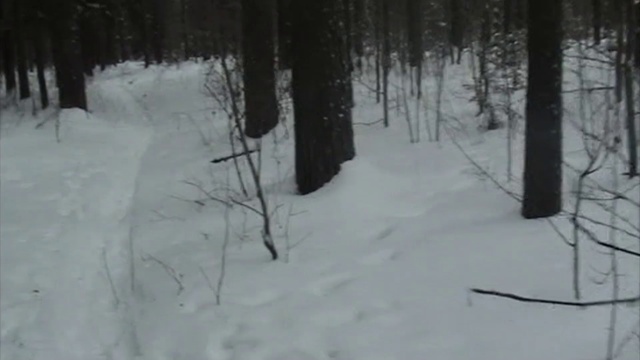 Снежный человек или прогулка в лесах Н-ска. смотреть онлайн