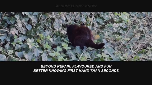 KAP KHUN KA | LYRICS смотреть онлайн