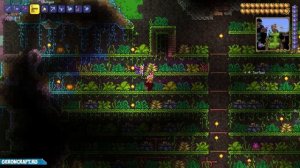 Террария Плантера (2023 | Террария Бутон Плантеры | Как найти Плантеру в Террарии | Террария 1.4.4.