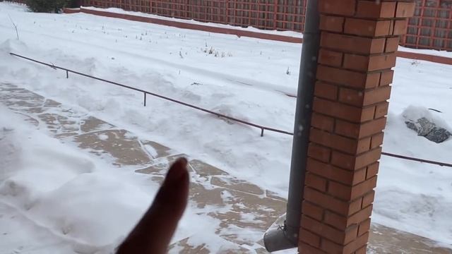 Сорта картофеля. Описание. условия выращивания. Рекомендации от М.М. Тыртыгашева. смотреть онлайн