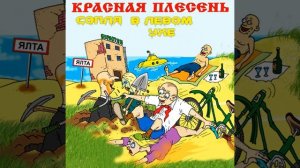 С утра я рано встаю