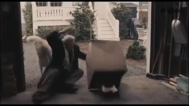 Хатико смотреть онлайн