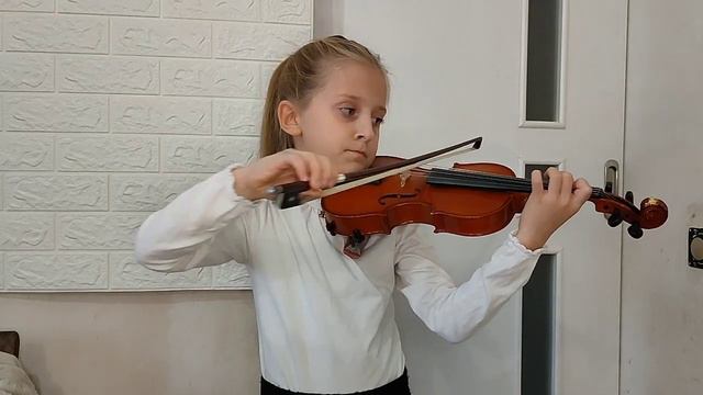 залік, Струнно-смичковий відділ