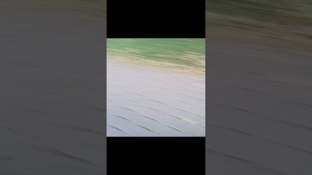 ну школа😅 смотреть онлайн