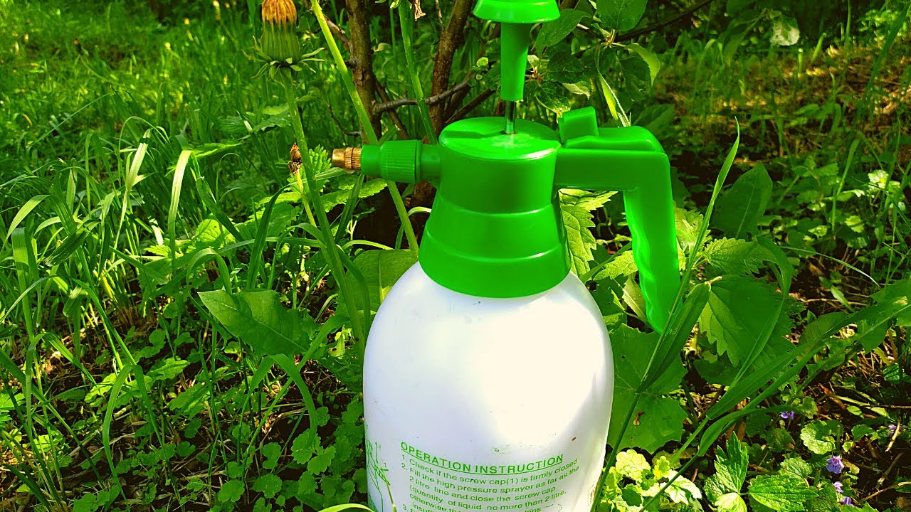 ТЛЯ ОПАДЕТ ПОСЛЕ ЭТОГО СРЕДСТВА. НАРОДНЫЙ МЕТОД. смотреть онлайн