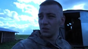 Как убрать гнездо Шершней