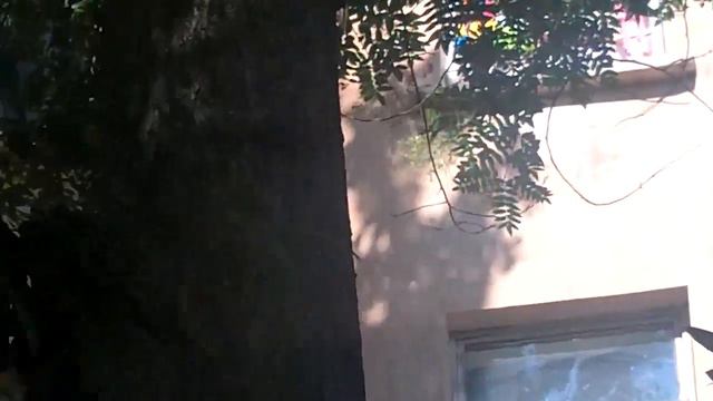 Монстры Большевика смотреть онлайн