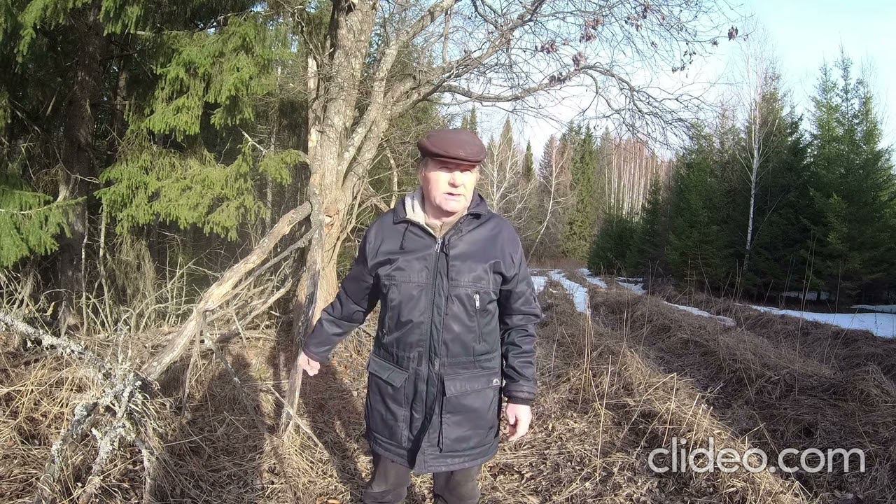 Место для пчелиной ловушки. смотреть онлайн