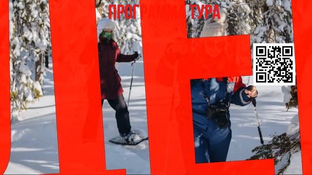 Туры в Карелию . Самый новый Новый Год Снегоходное сафари смотреть онлайн