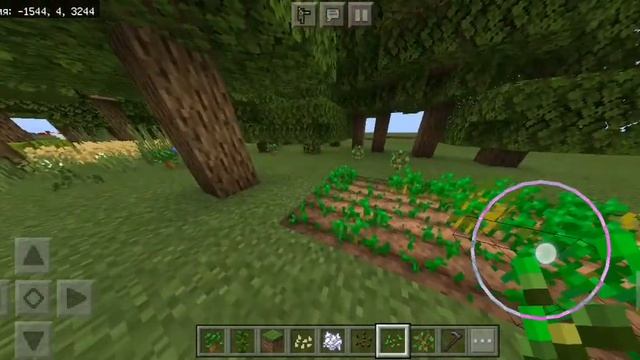 Как ускорить рост растений в майнкрафте. Майнкрафт