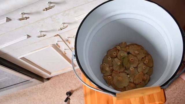 Засолка рыбы и икры в домашних условиях