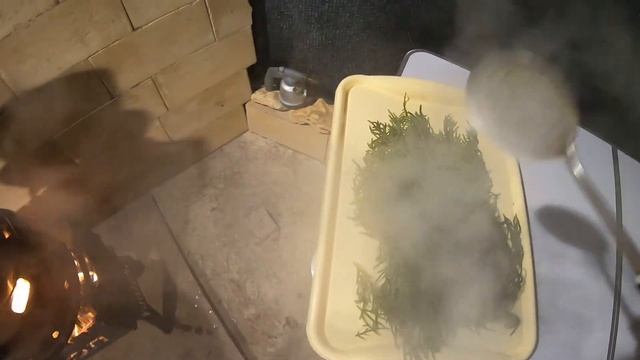 Солерос или морская спаржа. Очень вкусный салат. #Soleros. Бысро и вкусно!